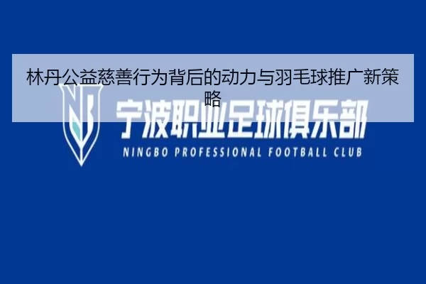 林丹公益慈善行为背后的动力与羽毛球推广新策略