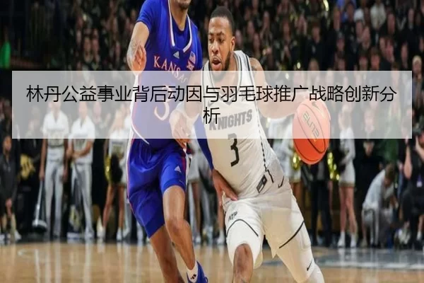 林丹公益事业背后动因与羽毛球推广战略创新分析