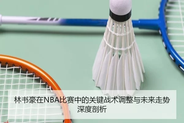 林书豪在NBA比赛中的关键战术调整与未来走势深度剖析