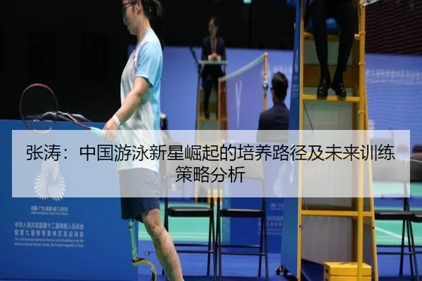 张涛：中国游泳新星崛起的培养路径及未来训练策略分析